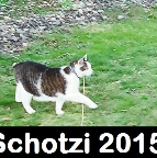 Schotzi Connelly 2002 - 2015 001